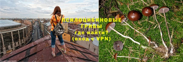 ПСИЛОЦИБИНОВЫЕ ГРИБЫ Остров